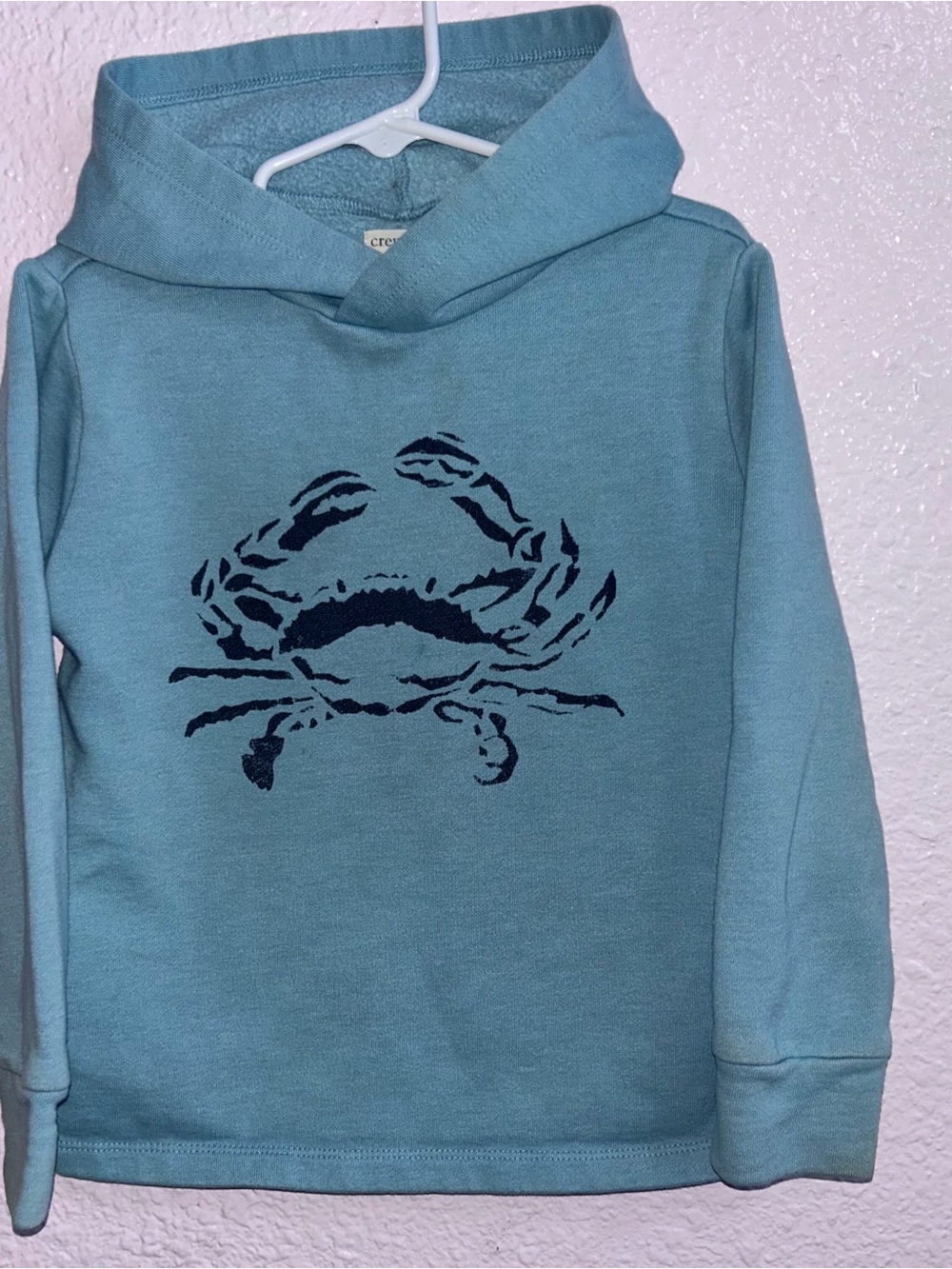 Crewcuts Light Teal Hooded Sweatshirt with Navy Crab Graphic - Picture 1 of 2